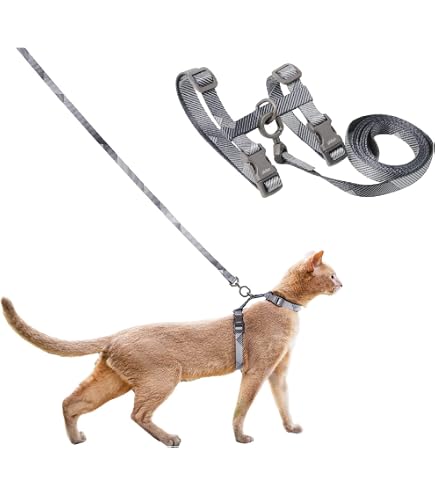 Lupine Reflective Cat Harness - H-Style, 1/2 Inch Wide, Blue Paws, 12-20 Inch Girth - View #9