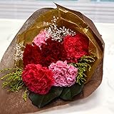 Reve カーネーションの花束　6輪タイプ レッドピンク 枯れない 母の日ギフト