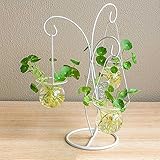 花の3つの頭ヨーロッパの緑の植物の文化ガラスの瓶の装飾品花瓶フラワーコンテナデスクトップの装飾的な花 ( Color : White )