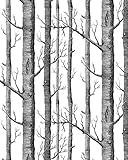 HaokHomeモダンBirchツリー壁紙Non Wovenフォレストトランク壁ペーパーキッチンバスルームのブラックホワイト壁画リビングルーム装飾20.8 CM x 393.7 "