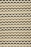 Momeni Rugs MESA0MES-5NAT3656 Mesa Collection, 100% Wool Hand Woven Flatweave Transitional Area Rug,