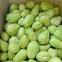 61Nv7M794aL._AC_UL210_SR210,