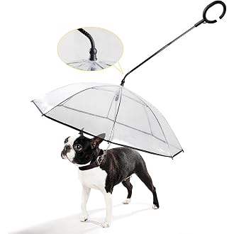 The most popular items in Raincoats for 