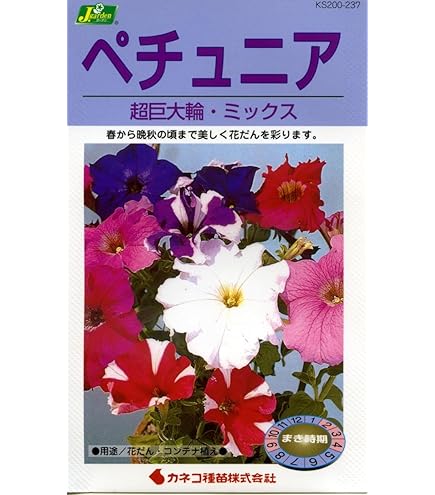 ♥超希少♥ペチュニア　ダーリン♥花色変化が大人気♥ 3号ポットごと発送 ペチュニア：ダーリン3号ポット の通販 | 園芸ネット