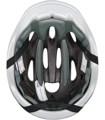 KABUTO）社のヘルメット。「MS-2」、サイズはLです。 OGK MS-2 自転車