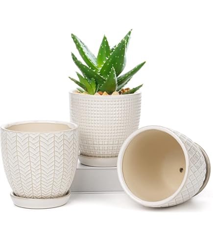 Amazon | 【植木鉢】【屋外】Laura Ashley (ローラアシュレイ