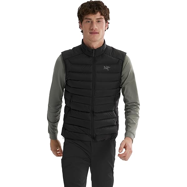 Arc'teryxアークテリクスCerium LT VestセリウムLTベスト 楽天市場】セール ARC'TERYX セリウム LT ベスト CERIUM LT VEST