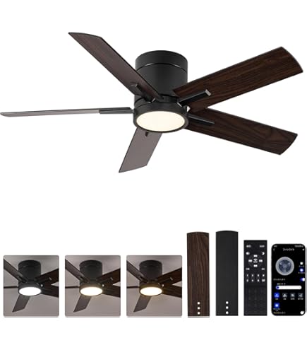 Amazon.co.jp : 【節電-5年保証】TALOYA シーリングファンライト