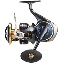Amazon | SLPWORKS 25 SALTIGA スプール 8000 | SLP