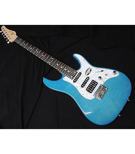 Amazon | SCHECTER OL-TE-2H-FXD BSC M シェクター テレギブ スタイル