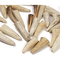 Amazon.co.jp: 鹿の角 エゾシカ 角 先端詰合わせ 1kg 端材