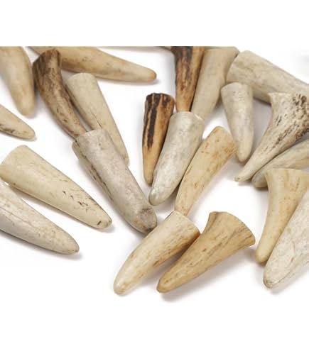 Amazon.co.jp: 鹿の角 エゾシカ 角 大小 約1kg 端材の詰め合わせ