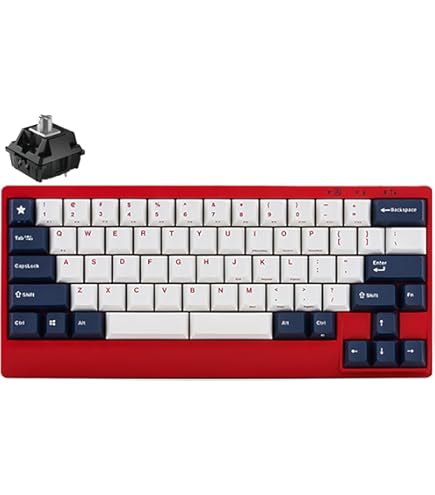 【ほぼ新品】LEOPOLDキーボード US配列 CHERRY MX 静音赤軸 Amazon | Leopold レオポルド FC650MDS GrayBlue 65%メカニカル