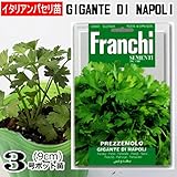 イタリアン パセリ 苗 Gigante Di Napoli 5ポットセット