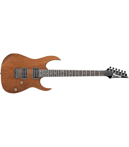 Amazon | Ibanez アイバニーズ Artcore AM53 Semi-Hollow エレキギター