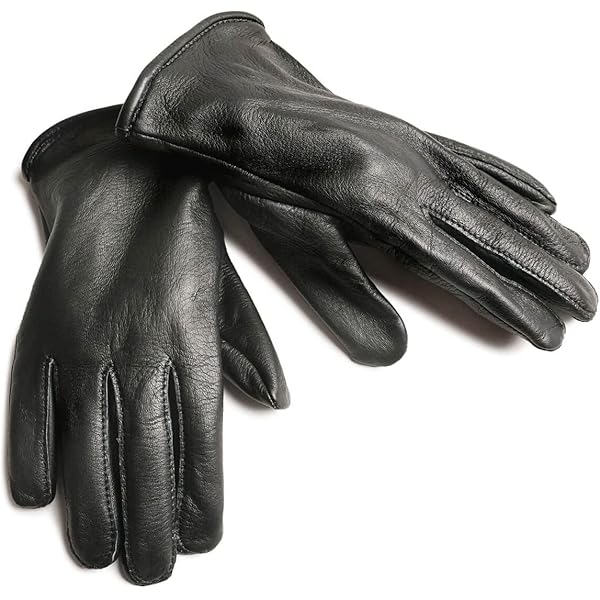 Amazon | [VANSON Leathers] [バンソン] レザーグローブ