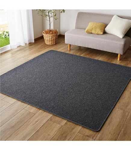 Amazon.co.jp : ワタナベ工業 ラグ・カーペット 電気カーペット 2畳