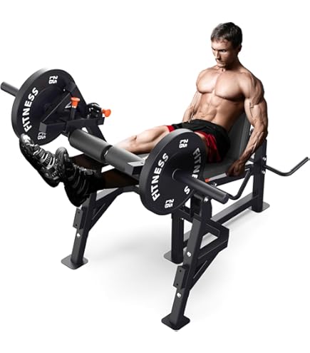 Amazon.co.jp: Titan Fitness プレートロード専用リニアハック