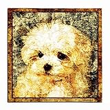 HAPPY PET ワンにゃんアートキャンバス 【 Sit! 】マルチーズ (S)