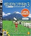 ぼくのなつやすみ3 -北国篇- 小さなボクの大草原 - PS3