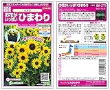 サカタのタネ 実咲花5635 お花がいっぱい ひまわり イオス