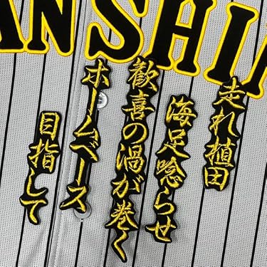 Amazon.co.jp 最新リリース: ワッペン(サッカーチーム・ファングッズ