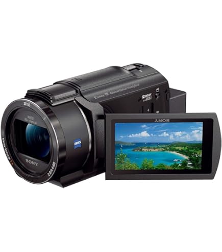Amazon | 【整備済み品】ソニー(SONY) 4K ビデオカメラ Handycam