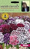 【輸入種子】 Johnsons Seeds Sarah Raven's Sweet William Electron スイート・ウイリアム（なでしこ）・エレクトロン（CF） ジョンソンズシード