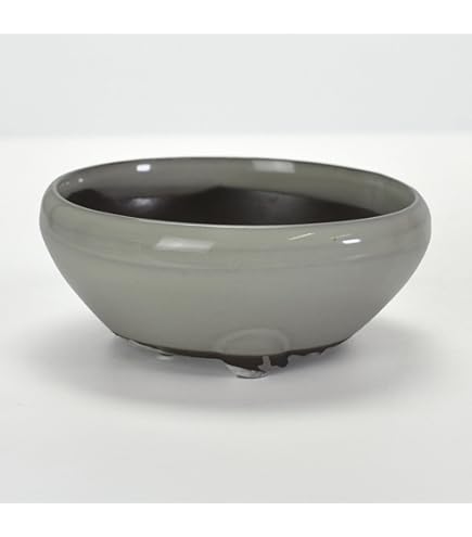 Amazon.co.jp: 940 ︎ 會津本郷焼 宗像窯 ニシン鉢 アンティーク鉢