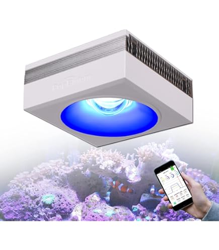 Amazon.co.jp: ZOOX ラグーンシャイナー 60 レクタングル ブルー