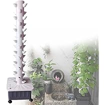 61OEwD1PVVL._AC_UL210_SR210,