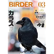 BIRDER (バ ーダ ー) 2006年02月号 BIRDER（バーダー）2026年2月号 比べて簡単！冬の鳥 | BIRDER編集部