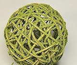 Mosscoat Curly Willowトピアリーボール6で。 Case of 8, 6 inch balls