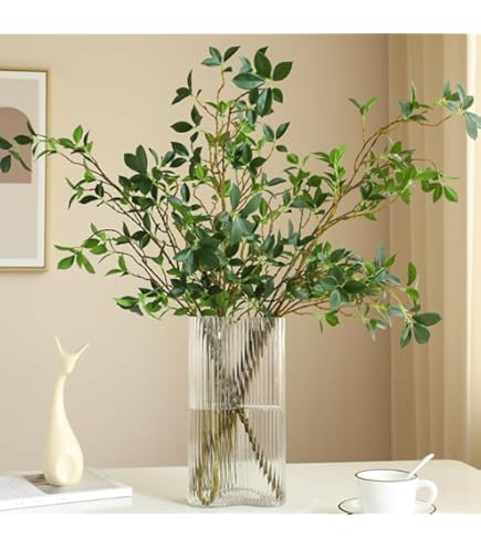 Amazon｜アセビ 枝もの 枝 3本セット 馬酔木 インテリア グリーン 生花