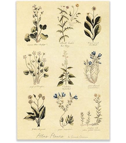 Amazon.co.jp: プラスメイト リアルインセンティブ 榊木庵 婚姻