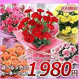 母の日 カーネーション キュートラッピング＆リボン鉢植え【送料無料】 (オレンジ)