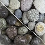 大磯 1寸（30-40mm） 10㎏（5.5L）