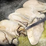 お試し 広島県産 冷凍かき 2L 牡蠣 むき身 総重量1kg 約30粒（内容量850g）特大 2Lサイズ カキ 牡蠣 冷凍 国産 ギフト 贈り物 海鮮 自宅用 業務用 メガ盛 (2Lサイズ)