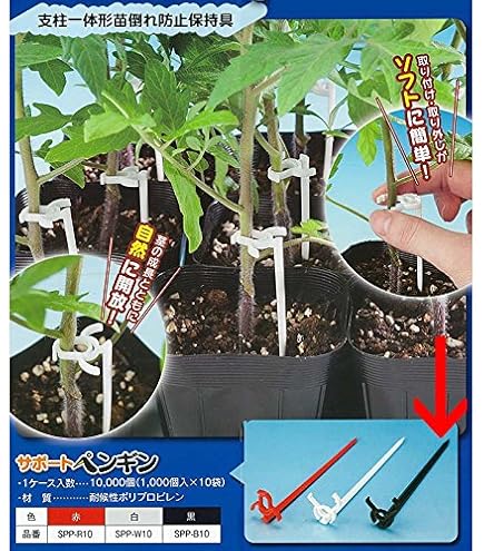 専用ページホムデン苗10kg Amazon | サポートペンギン 黒 SPP-B10 1,000本 支柱一体型 苗