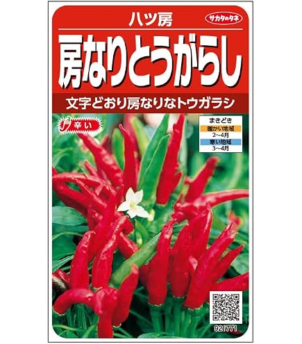 Amazon | 唐辛子 種 【 朝鮮なんばん (激辛) 】 種子 10ml | 野菜