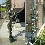 ハーフトレリス140（高さ140cm、幅36cm） 2本セット[柱取り付け用半円トレリス] ノーブランド品