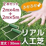 まるで本物のような質感 ふかふかで気持ちがいい人工芝 【期間限定☆特別価格】人工芝 C型 芝丈30mm 2m×4mを1本、2m×5mを1本の2本セット