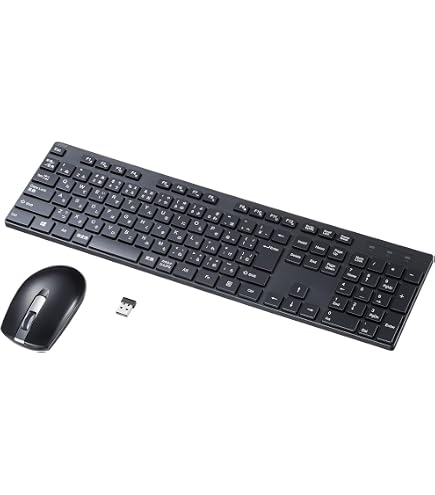 Amazon.co.jp: サンワサプライ(Sanwa Supply) ワイヤレス静音