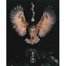 森のフクロウ Amazon.co.jp: しまふくろうの森 : 前川貴行, 前川貴行: Japanese Books