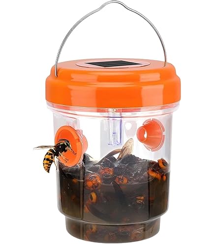 Amazon | エスコハチ捕獲器（ハチがホイホイ）EA941D-82 | 捕虫器
