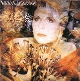 ���[�����C�g�E�V���h�E