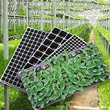 Kofun 3つの植物の植物の苗木トレイプラグ植え付けプランターの容器バルコニーガーデン50穴