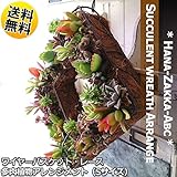 【送料無料】【オリジナル寄せ植え】ワイヤーハンギングリース（サークルorスクウェア）20cmリース(Sサイズ) S字フック付き【インテリアグリーン】 (スクウェア)