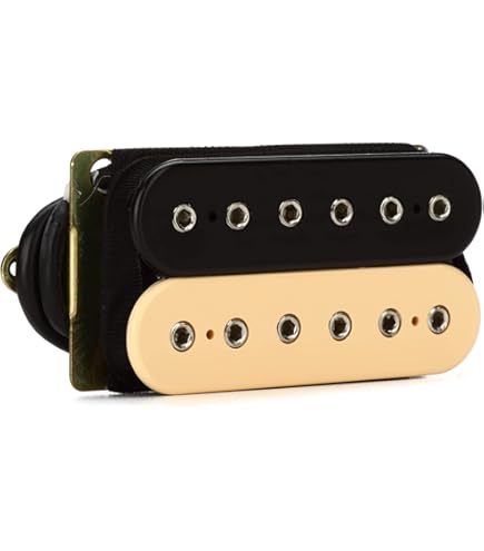Dimarzio DP419 Area'67 Black 2個 ピックアップ DIMARZIO ( ディマジオ ) DP419 Black Area'67 送料無料 | サウンドハウス