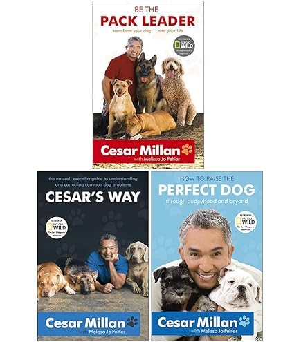 Amazon | シーザーミラン バックパック (Mサイズ（胴周り61-91cm